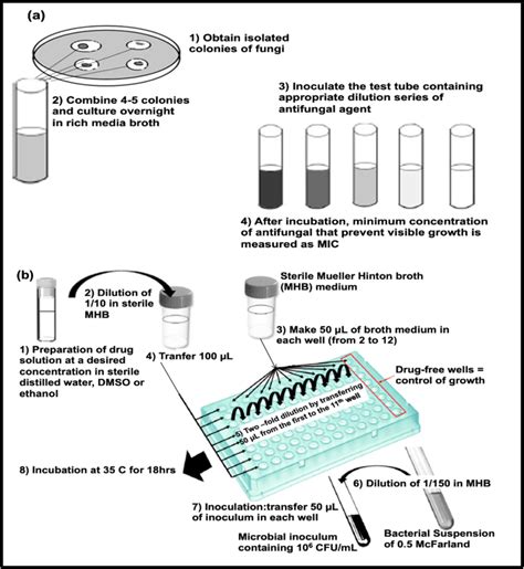 Agar Disc Diffusion Method 的图像结果