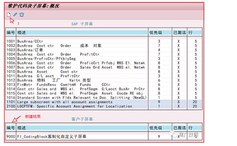 SAP Coding Block 的图像结果