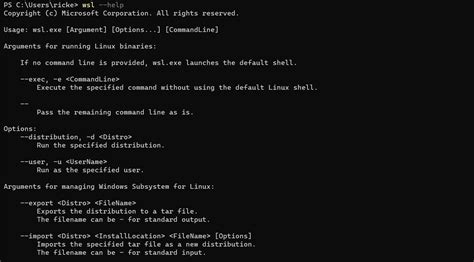 WSL Run PowerShell Command 的图像结果