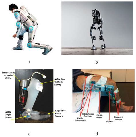 EEG-Based Control for Upper and Lower Limb Exoskeletons and Prostheses ...