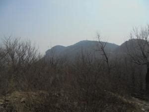 这就是老虎山⛰️的部分景色。爬上去四处瞭望特别的美。-青青岛社区