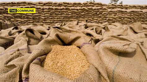 India All Set To Export Record 7 Million Tonnes Of Wheat As Russia-Ukraine Crisis Disturbs ...