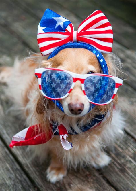 Image result for Alien Face to Rpint