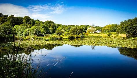 THE 30 BEST Places to Visit in Narberth (2026) - Must-See Attractions