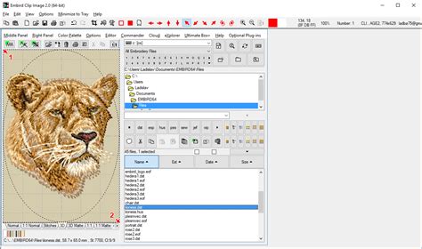 Image result for Embroidery Magic 2 Software