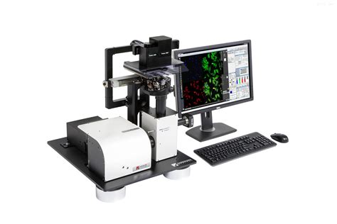 K1-Fluo DMB-激光荧光共聚焦显微镜-激光-化工仪器网