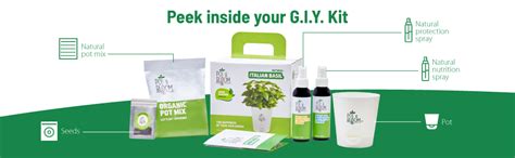 Pot and Bloom Italian Basil Plant Gardening Kit| Plant Kit for Home l ...