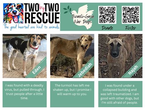 Israeli-Gaza War Dogs Coming To Alabama | Two by Two Rescue