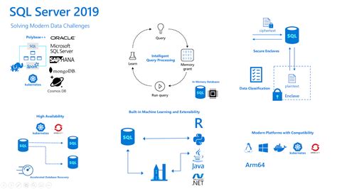 Learn SQL Server 2019 的图像结果