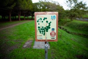Image result for Disc Golf Rules