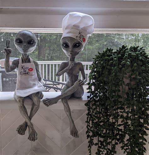 Image result for Alien vs Predator Kitchen Items