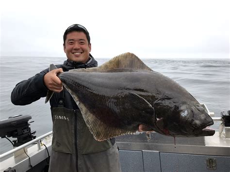 Halibut fish online