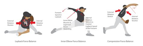 Image result for Pitching Form Back Turned