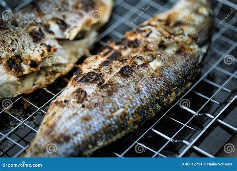 Grilled Sea Bass stock photo. Image of charcoal, grillage - 46012754