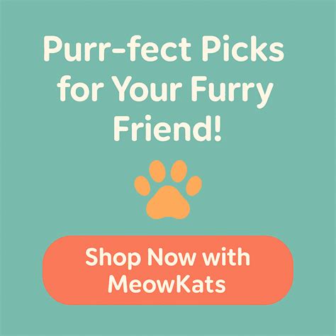 Meows, Minutes, and Mating: The Complete Cat Cycle Explained
