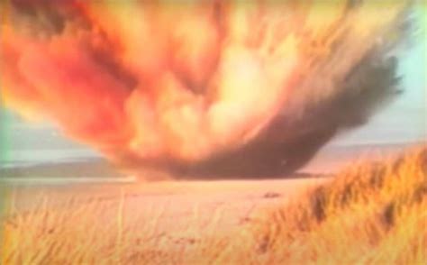 Image result for Whale Body Exploding