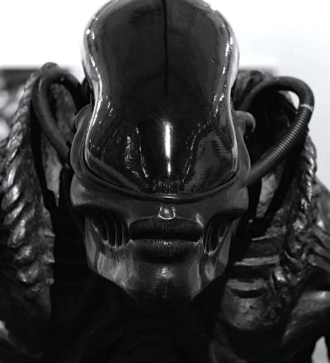 Alien 1 Xenomorph 的图像结果