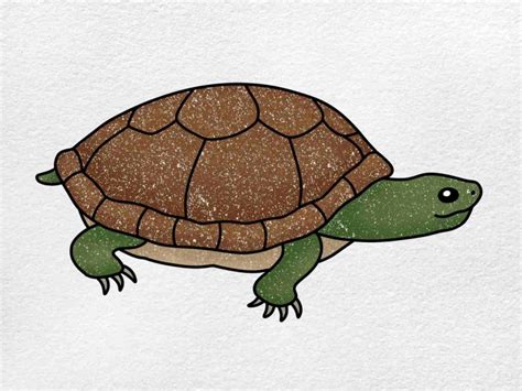 Image result for How to Draw House Using a Turtle