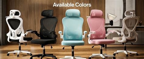DROGO Ergonomic Office Chair for Work from Home with Breathable Mesh ...