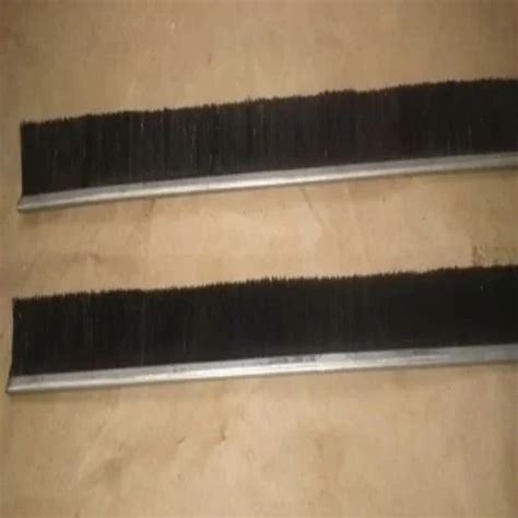 Pharmaceutical Brushes - Industrial Strip Brush Manufacturer from Dera ...