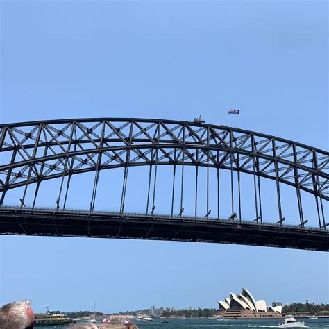 Lunch Cruise with Music on Sydney Harbour 2021