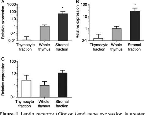 Image result for What Is Thymic Involution