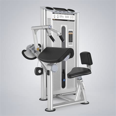Seated Triceps Extension Machine