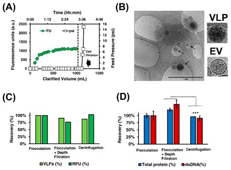 A Four-Step Purification Process for Gag VLPs: From Culture Supernatant ...