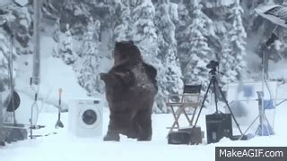 Image result for Bear Washing Machine Prank