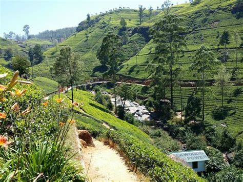 Nuwara Eliya Tourism (2024): All You Need to Know Before You Go