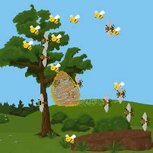 Image result for Code.org Lesson 8 Virtual Pet with Sprite Lab