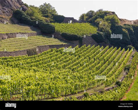 Switzerland agriculture hi-res stock photography and images - Alamy