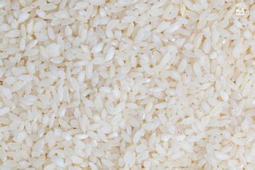 Rice – OOO Farms