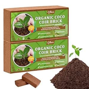 Riare 2 x 650g Organic Coco Coir Bricks- 100% Natural Compressed Coco ...