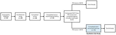 Young Adults’ Lived Experiences with Cancer-Related Cognitive ...