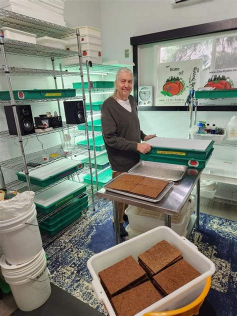 City Hydro Tutorials 的图像结果