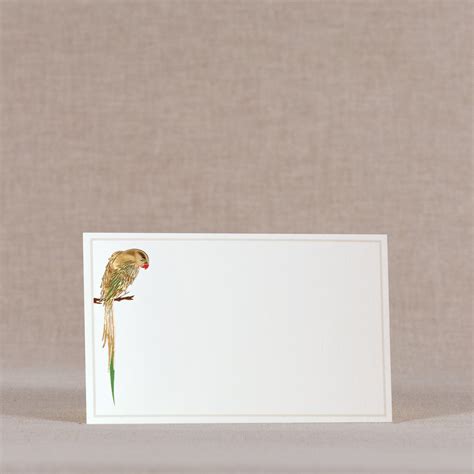 MorPopat – Paperfields