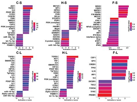Iron Oxide Nanoparticles Carrying 5-Fluorouracil in Combination with ...