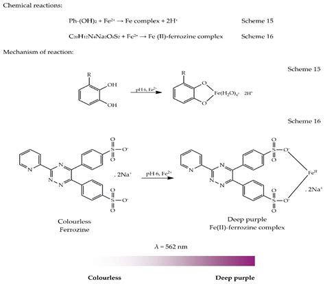 The Versatility of Antioxidant Assays in Food Science and Safety ...