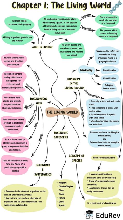 How Mindmap will look in a doc - Photography PDF Download