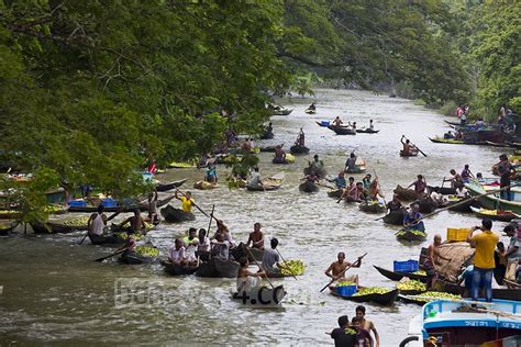 Floating Guava Market, Bhimruli 1