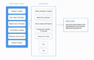 Image result for How Sha 256 Works Step by Step