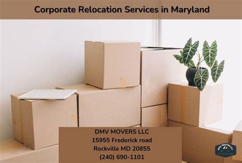 Image result for Relocation Moving Company