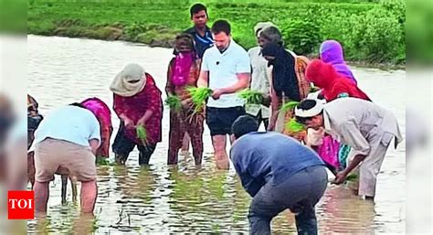 Rahul Gandhi: Sonipat farmers taken by surprise as Rahul Gandhi joins ...
