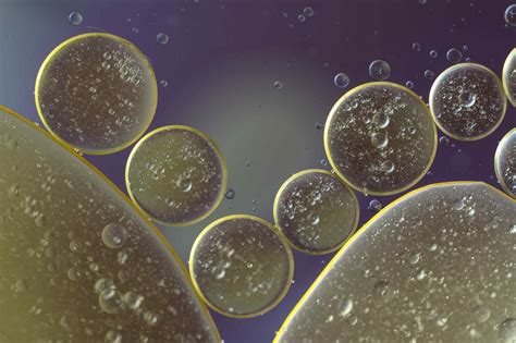 24 Facts About Dora Winifred "D.W." Read (Arthur) - Facts.net