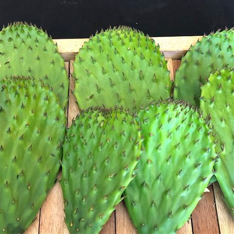 What Are Nopales? (History, Origins, Nutrition and Benefits)