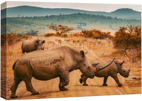 Image result for Rhino Shield Skin Tutorial