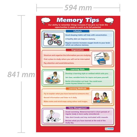 Image result for Memory and Learning Informational Posters Example