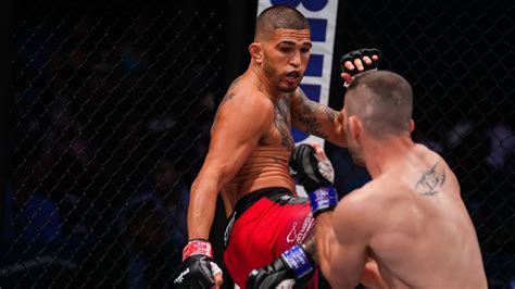 PFL playoffs: Breaking down the lightweight, light heavyweight matchups ...