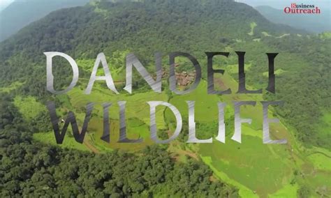 Top 15 National Parks And Wildlife Sanctuaries In India